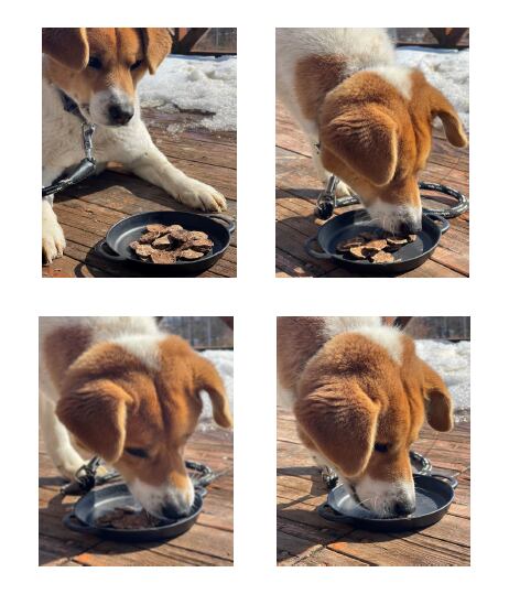 えぞ鹿肉ジャーキー(ドッグフード)